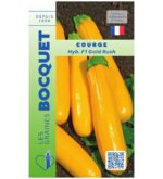 Courgettes jaunes allongées de la variété hybride F1 Gold Rush, lisses et brillantes, fraîchement cueillies au jardin.
