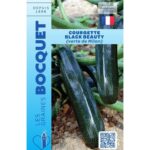 Courgette Noir Beauty