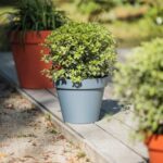 Pot Rond Toscane Ø 25 Cm - 6 L – Image 8