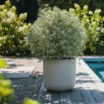 Pot Rond  Volcania'Up Ø 50 Cm Décor Pierre - 67 L – Image 5