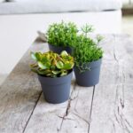 Pot Rond Toscane Ø 13 Cm - 1,1 L – Image 3