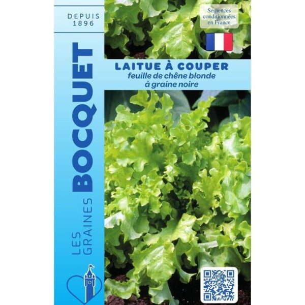 Laitue À Couper Feuille De Chêne Blonde À Graine Noire
