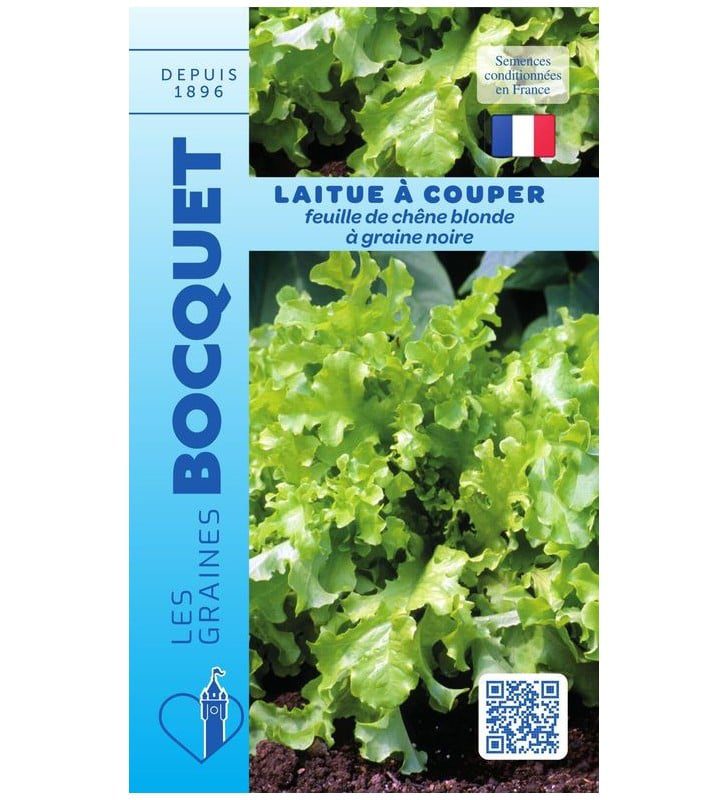 laitue-a-couper-feuille-de-chene-blonde-a-graine-noire Laitue À Couper Feuille De Chêne Blonde À Graine Noire – Image 1