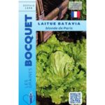 Laitue Batavia Blonde De Paris