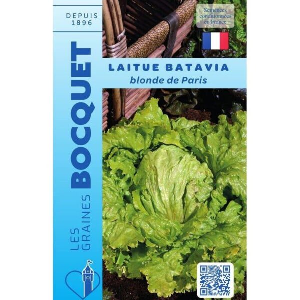 Laitue Batavia Blonde De Paris