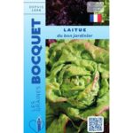 Laitue D'Été Du Bon Jardinier