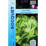 Laitue D'Été Kinemontepas