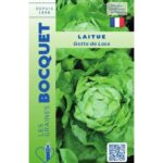 Laitue Gotte De Loos