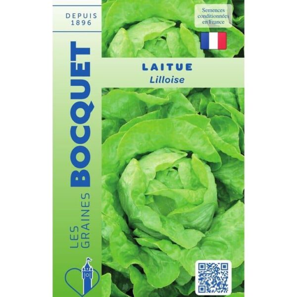 Laitue Lilloise