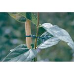 Lien Plastique Ap-Fix 100 M Nortene