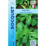 Mâche À Grosse Graine