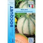 Melon Cantaloup Charentais