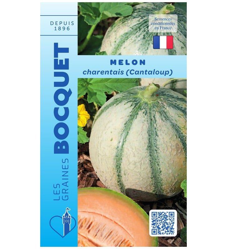 melon-cantaloup-charentais Melon Cantaloup Charentais – Image 1