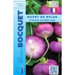 Navet De Milan À Forcer Collet Rose