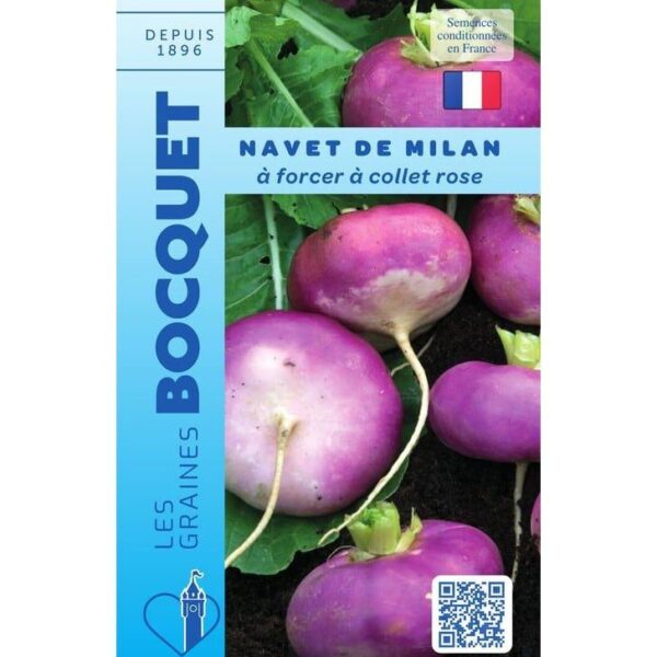 Navet De Milan À Forcer Collet Rose