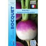 Navet De Nancy À Feuille Entière