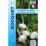Oignon Blanc Très Hâtif De Vaugirard- Allium Cepa
