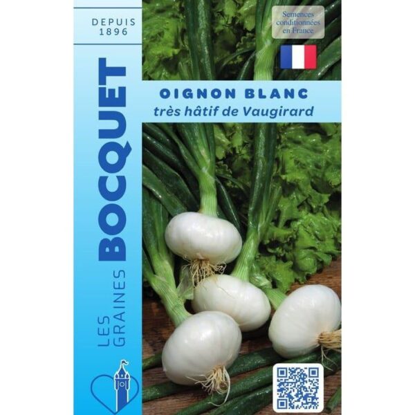 Oignon Blanc Très Hâtif De Vaugirard- Allium Cepa