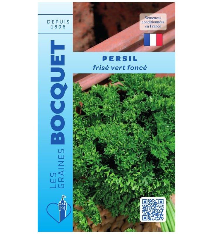 persil-frise-vert-fonce Persil Frisé Vert Foncé – Image 1