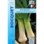 Poireau Monstrueux De Carentan-2