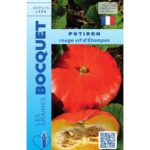 Potiron Rouge Vif D'Etampes