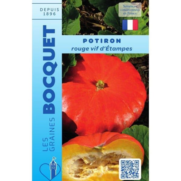 Potiron Rouge Vif D'Etampes