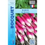 Radis Demi-Long De 18 Jours