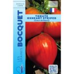 Tomate Coeur De Boeuf "Oxheart Striped"