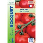 Tomate Hybride F1 Paola