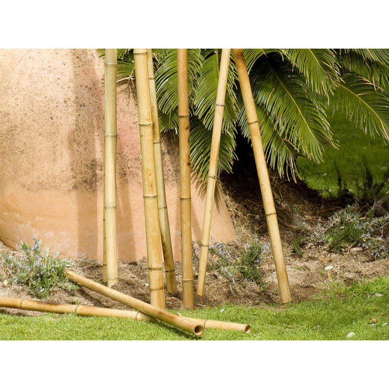 tuteur-bambou-bamboo-deco-180-m-o-35-40-mm-nortene Tuteur Bambou Bamboo Deco 2,40 M - Ø 35-40 Mm Nortene – Image 1