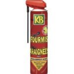 Aérosol anti-fourmis et araignées – spray insecticide pour lutter contre insectes rampants