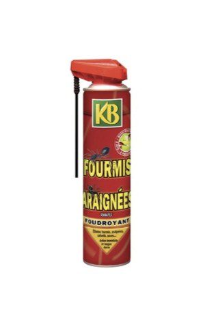 Aérosol anti-fourmis et araignées – spray insecticide pour lutter contre insectes rampants