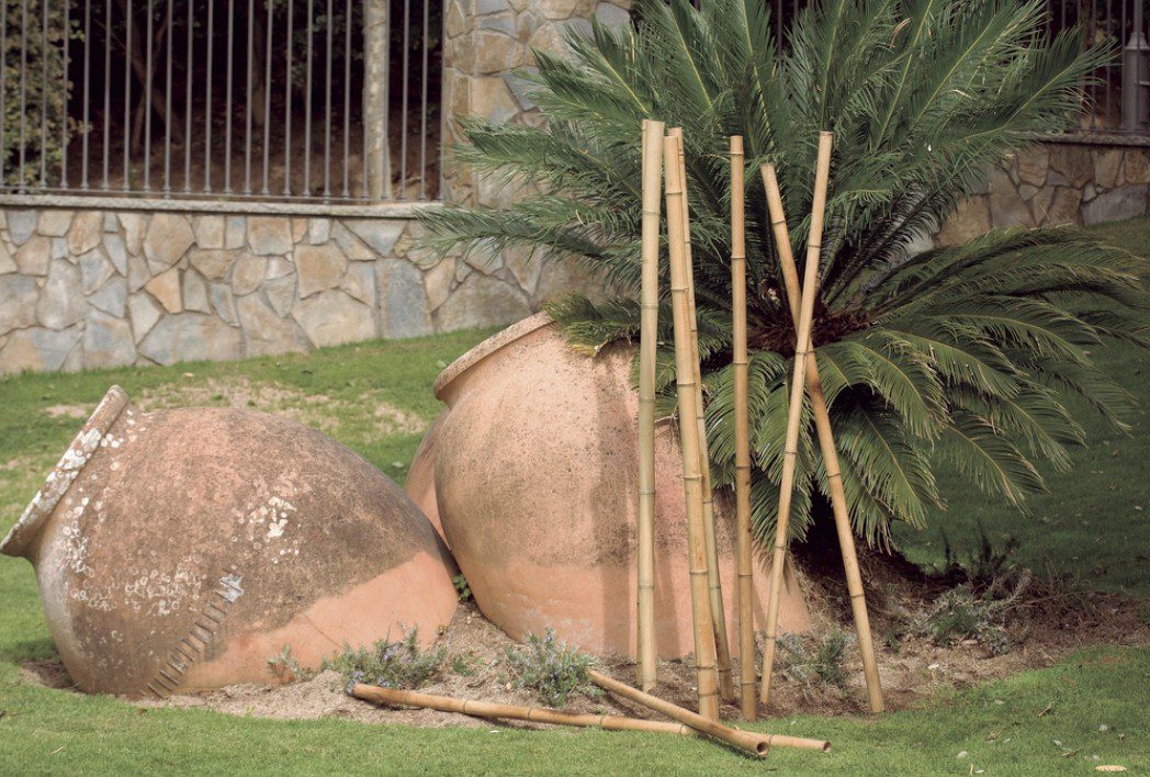 Canne de bambou décorative naturel Ø110‑120 mm pour jardin Canne de bambou décorative naturel Ø110‑120 mm pour jardin et support de plantes