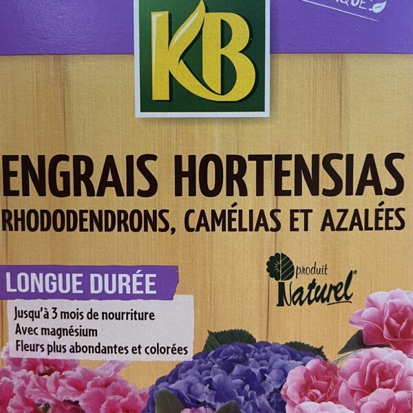Engrais pour hortensias – fertilisant spécifique pour hortensias et plantes acidophiles