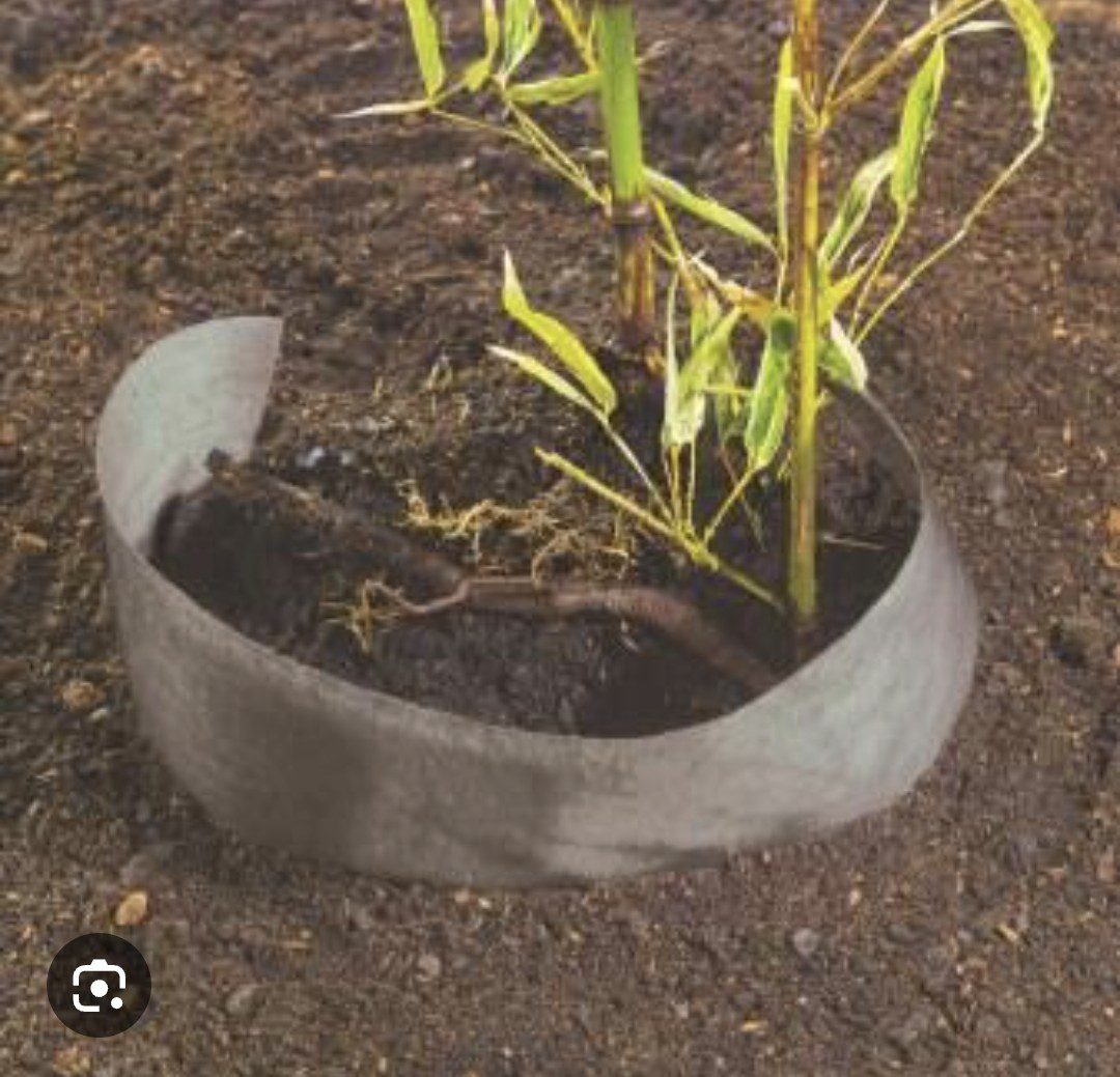 Feutre anti‑rhizomes gris pour barrière anti‑racines Feutre anti‑rhizomes gris pour barrière anti‑racines dans le jardin
