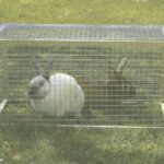 Grillage métallique galvanisé à mailles carrées 2.5 cm pour clôture et jardin