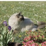 Grillage métallique plastifié à mailles carrées 12 mm vert pour jardin et clôture