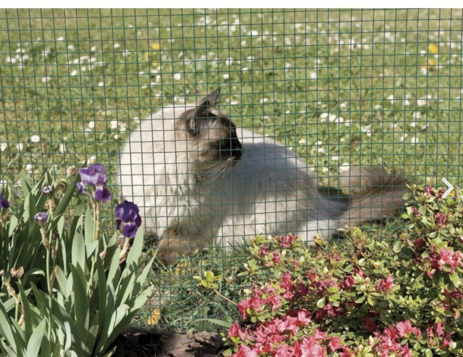 Grillage métallique plastifié à mailles carrées 12 mm pour jardin Grillage métallique plastifié à mailles carrées 12 mm vert pour jardin et clôture