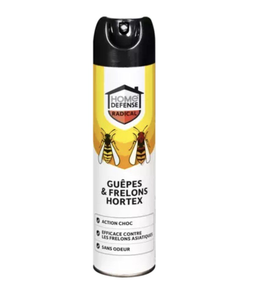 Guêpe et frelon – Insectes volants sociaux Guêpe et frelon volants – insectes sociaux de la famille des vespidés