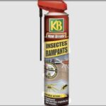 Insecte rampant sur surface — petit insecte nuisible ou visiteur du jardin