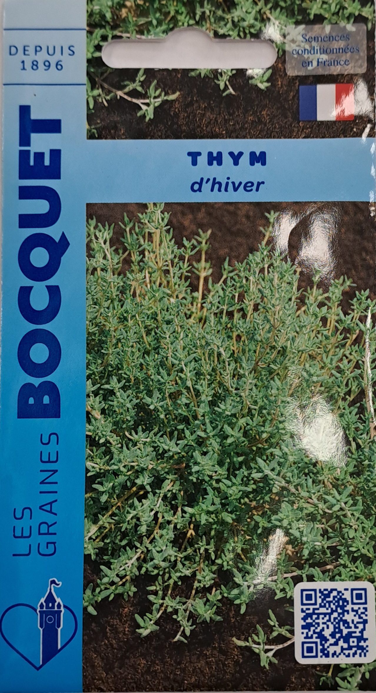 Thym – Plante aromatique Thym en pot, plante aromatique aux petites feuilles vertes