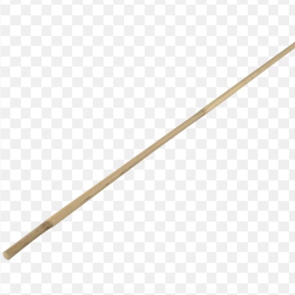 Tuteur bambou naturel lot de 1 pour soutien de plantes au jardin