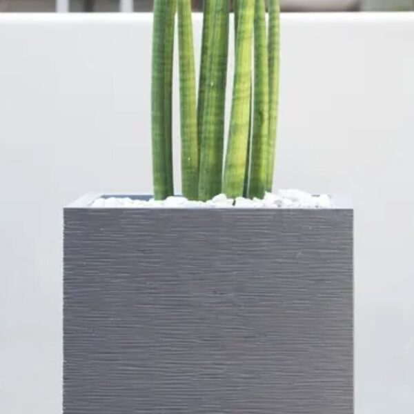 Pot carré Graphitup gris anthracite 31 L pour plantes
