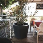 Pot Conik rotomoulé 253 L pour plantes et arbustes