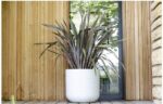 Pot rond Graphitup blanc cérusé 67 L pour plantes