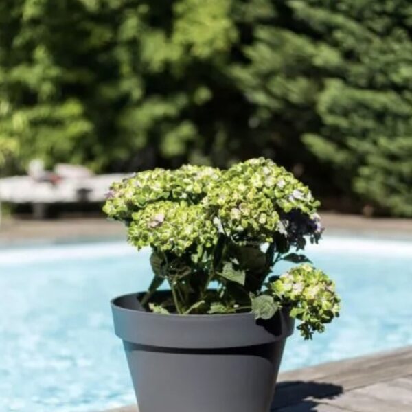 Pot Toscane anthracite 10 L pour plantes