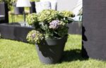 Pot Toscane anthracite 23 L pour plantes