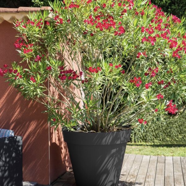 Pot Toscane anthracite 356 L pour plantes et arbustes
