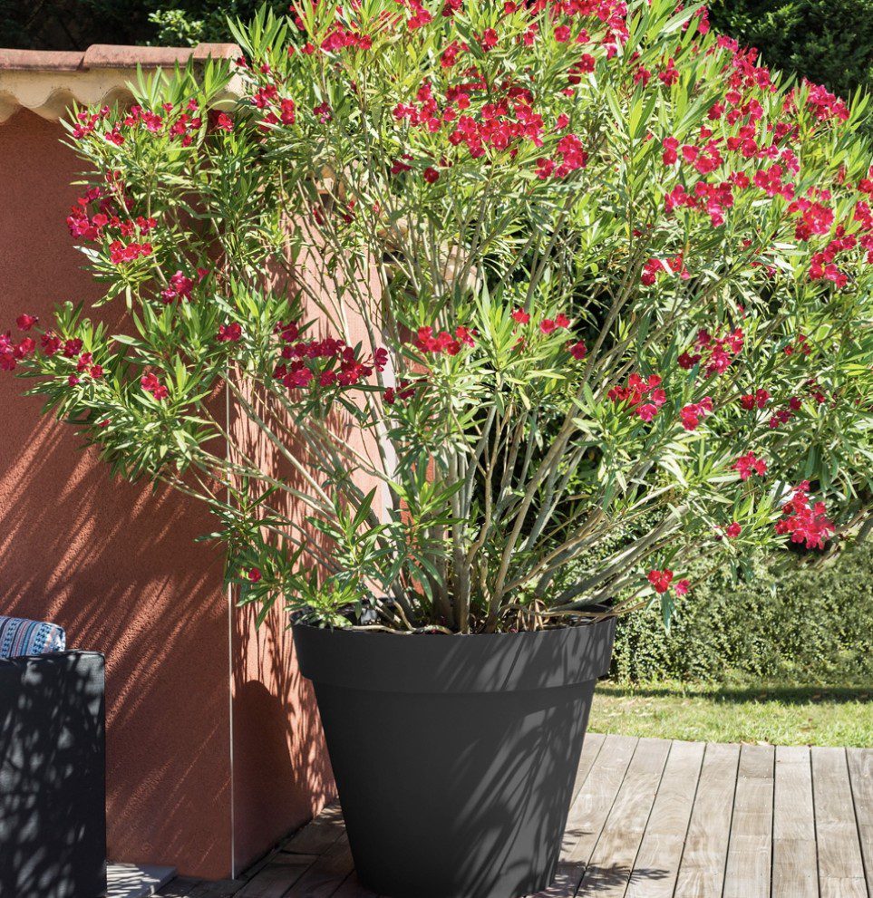 Pot Toscane anthracite 356 L Pot Toscane anthracite 356 L pour plantes et arbustes