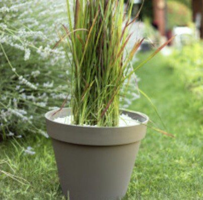Pot Toscane vert laurier 10 L pour plantes